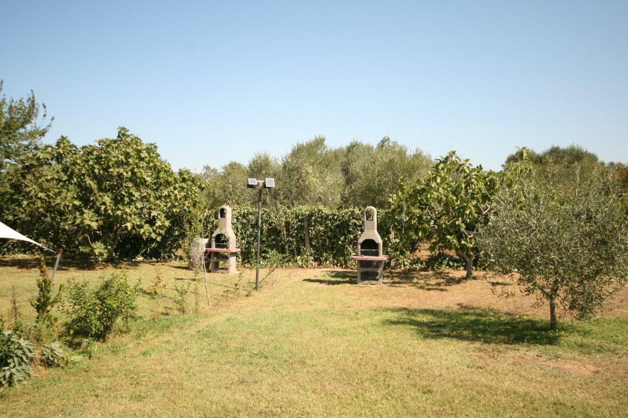 Due Casette Con Piscina Castagneto Carducci Εξωτερικό φωτογραφία