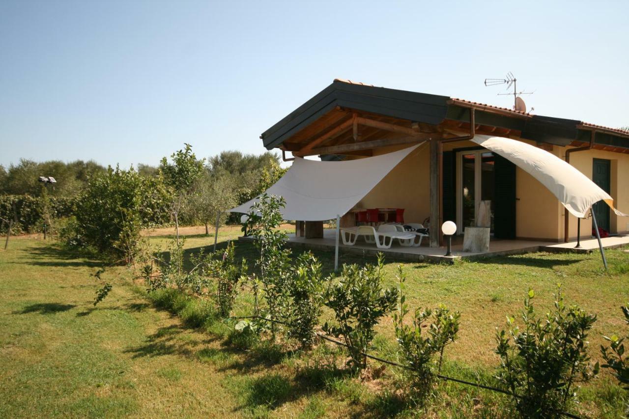 Due Casette Con Piscina Castagneto Carducci Εξωτερικό φωτογραφία